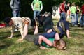 FinnFoto_224172
